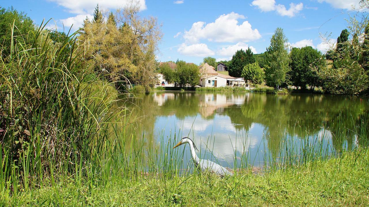 Le Domaine De L'Etang De Sandanet Issac Εξωτερικό φωτογραφία