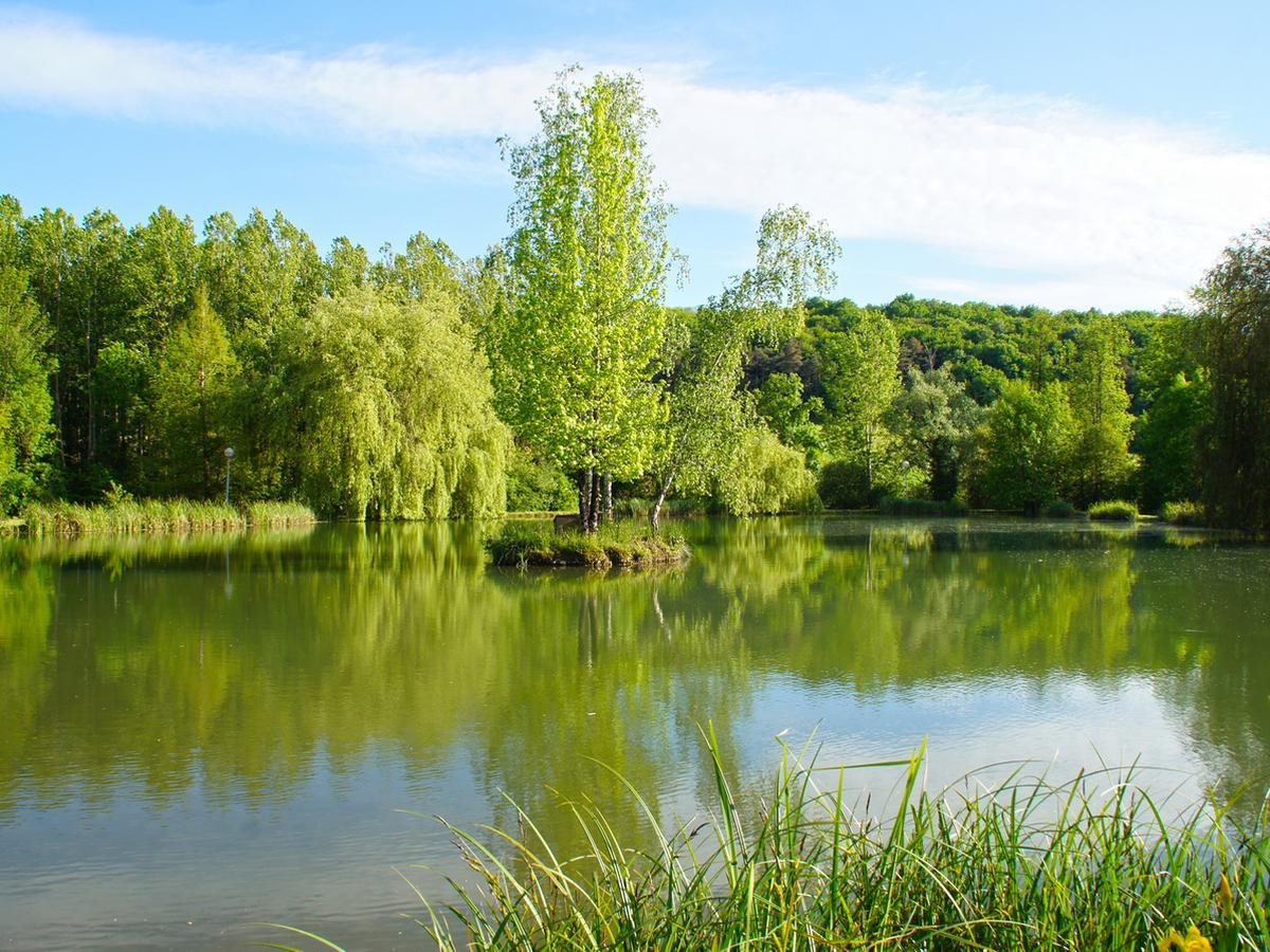 Le Domaine De L'Etang De Sandanet Issac Εξωτερικό φωτογραφία